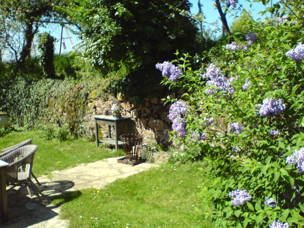 Penzion Les Champys Saint-Péreuse Exteriér fotografie
