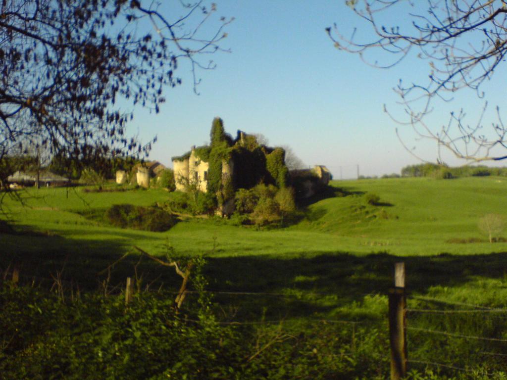Penzion Les Champys Saint-Péreuse Exteriér fotografie